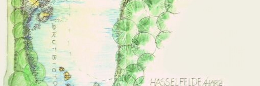 02_-_Lageplan_Hoyerteich